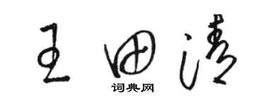 駱恆光王田清草書個性簽名怎么寫