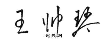 駱恆光王帥琴草書個性簽名怎么寫