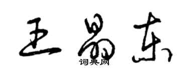 曾慶福王晶東草書個性簽名怎么寫