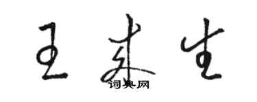 駱恆光王來生草書個性簽名怎么寫