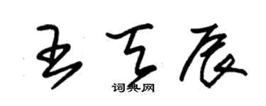 朱錫榮王天辰草書個性簽名怎么寫