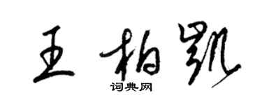 梁錦英王柏凱草書個性簽名怎么寫