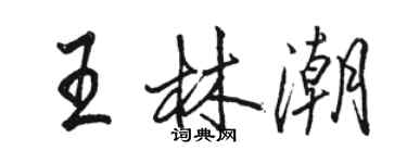 駱恆光王林潮行書個性簽名怎么寫