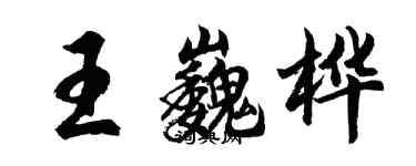 胡問遂王巍樺行書個性簽名怎么寫