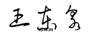 曾慶福王東泉草書個性簽名怎么寫