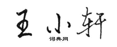 駱恆光王小軒行書個性簽名怎么寫