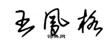 朱錫榮王鳳格草書個性簽名怎么寫