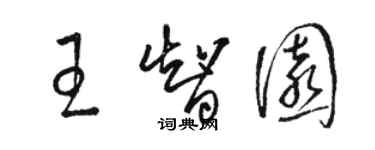 駱恆光王智園草書個性簽名怎么寫