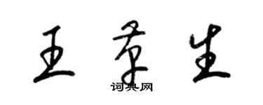 梁錦英王革生草書個性簽名怎么寫