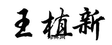 胡問遂王植新行書個性簽名怎么寫