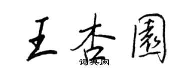 王正良王杏園行書個性簽名怎么寫