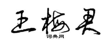 曾慶福王梅君草書個性簽名怎么寫