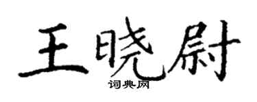 丁謙王曉尉楷書個性簽名怎么寫