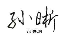 駱恆光孫晰行書個性簽名怎么寫