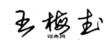 朱錫榮王梅武草書個性簽名怎么寫