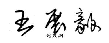 朱錫榮王展毅草書個性簽名怎么寫