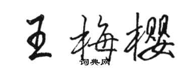 駱恆光王梅櫻行書個性簽名怎么寫