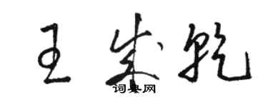 駱恆光王成乾草書個性簽名怎么寫