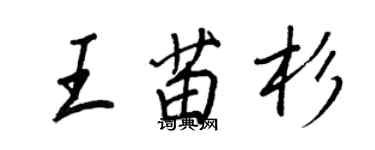 王正良王苗杉行書個性簽名怎么寫