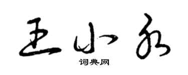 曾慶福王小水草書個性簽名怎么寫