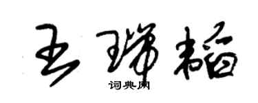 朱錫榮王瑞韜草書個性簽名怎么寫