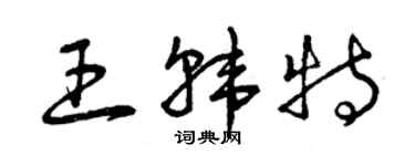 曾慶福王韓特草書個性簽名怎么寫