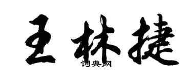 胡問遂王林捷行書個性簽名怎么寫