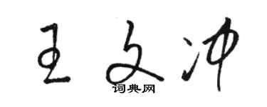 駱恆光王文沖草書個性簽名怎么寫