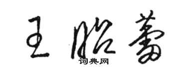 駱恆光王昭蕾草書個性簽名怎么寫