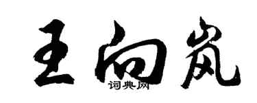 胡問遂王向嵐行書個性簽名怎么寫