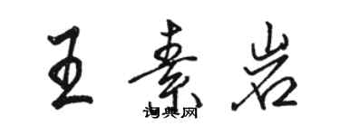 駱恆光王素岩行書個性簽名怎么寫