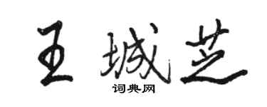 駱恆光王城芝行書個性簽名怎么寫