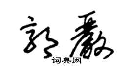 朱錫榮郭嚴草書個性簽名怎么寫