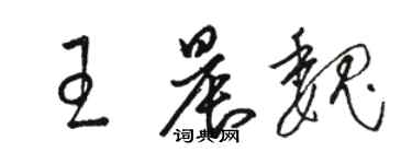 駱恆光王晨魏草書個性簽名怎么寫