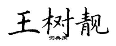 丁謙王樹靚楷書個性簽名怎么寫