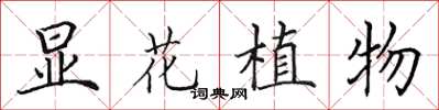 田英章顯花植物楷書怎么寫
