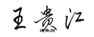 駱恆光王貴江行書個性簽名怎么寫