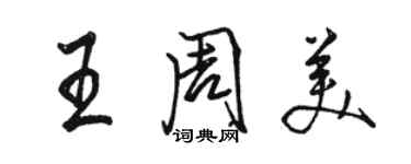 駱恆光王周美行書個性簽名怎么寫