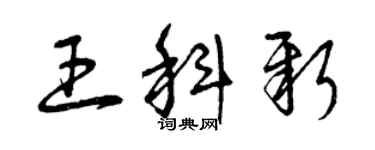 曾慶福王科新草書個性簽名怎么寫