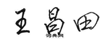 駱恆光王昌田行書個性簽名怎么寫