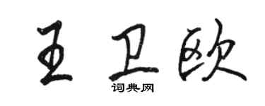 駱恆光王衛歐行書個性簽名怎么寫