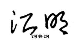 朱錫榮江明草書個性簽名怎么寫