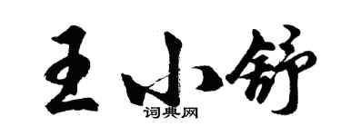 胡問遂王小舒行書個性簽名怎么寫