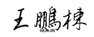 王正良王鵬棟行書個性簽名怎么寫