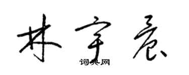 梁錦英林宇晨草書個性簽名怎么寫