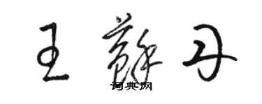 駱恆光王蘇丹草書個性簽名怎么寫