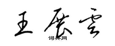 梁錦英王展雲草書個性簽名怎么寫