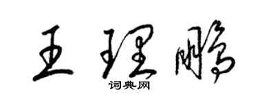 梁錦英王理鵬草書個性簽名怎么寫