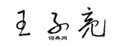 駱恆光王子亮草書個性簽名怎么寫