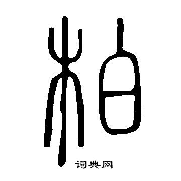 說文解字寫的柏